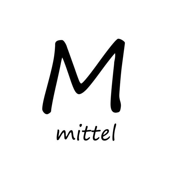 LAMY Füllhalter vista - Federstärke M - mittel