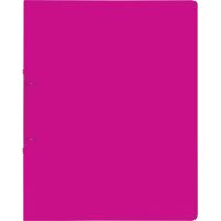 BRUNNEN Ringbuch A4 - FACT! - 2 Ringe 16mm - Kunststoff pink