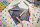 Buntstift, Wasserfarbe & Wachsmalkreide - STABILO woody 3 in 1 - 6er Pack mit Spitzer - mit 6 verschiedenen Pastellfarben