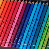 FABER-CASTELL Künstlerstifte Art & Graphic Collection Koffer 125er Polychromos Künstlerfarbstifte, Albrecht Dürer und Zubehör 110085