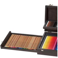 FABER-CASTELL Künstlerstifte Art & Graphic Collection Koffer 125er Polychromos Künstlerfarbstifte, Albrecht Dürer und Zubehör 110085
